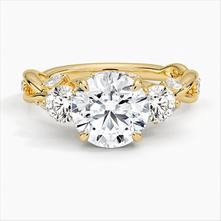 Secret Garden Three Stone Diamond Engagement Ring