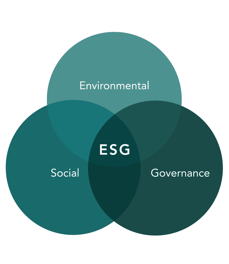 Environmental Social Governance Goals