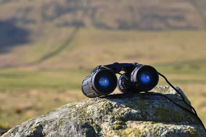 Best Compact Binoculars for Wildlife Viewing