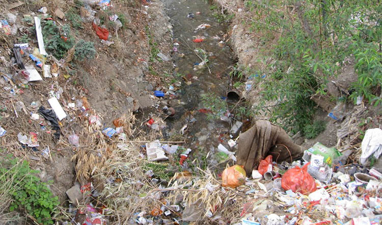 Pollution of a Fresh Water Creek.