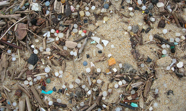 Nurdles on a beach.