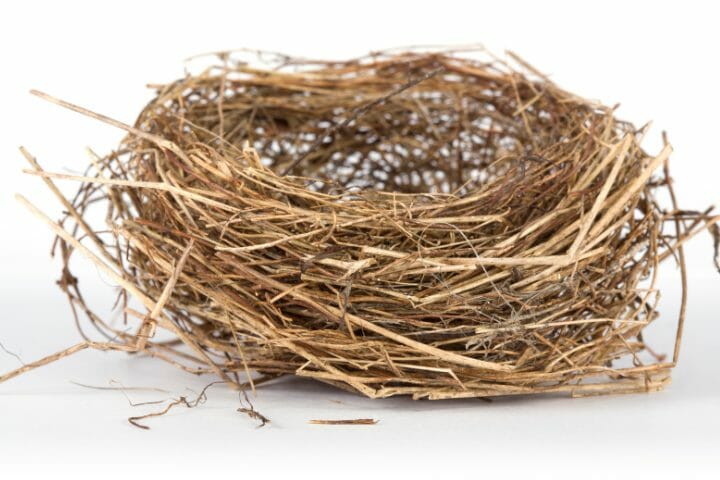 What Do Birds Use To Make A Nest