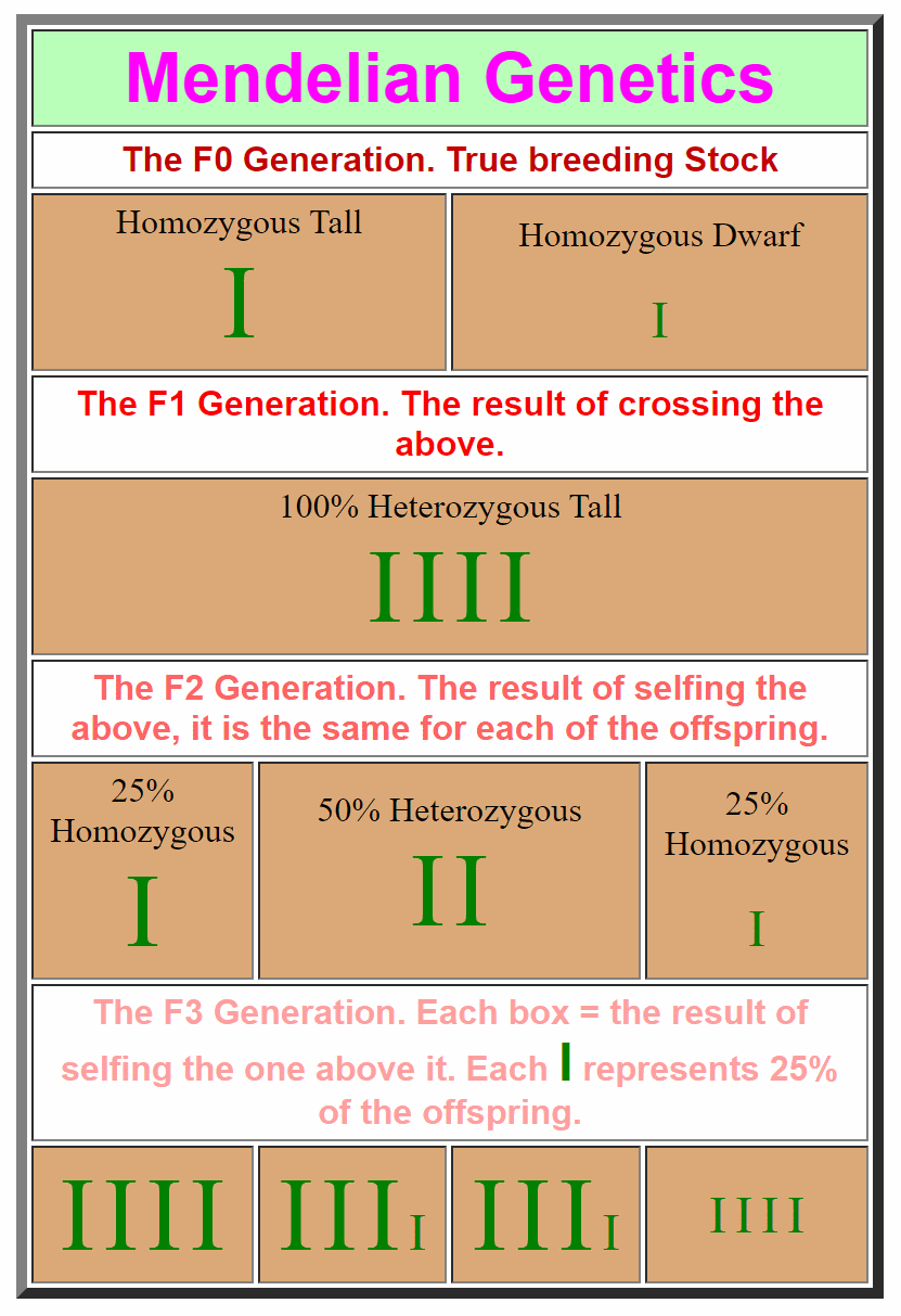 mendelian inheritance table