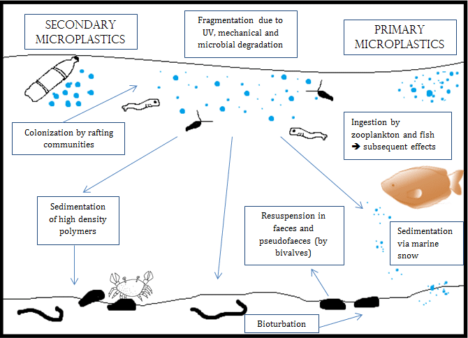 primary microplastics vs secondary microplastics