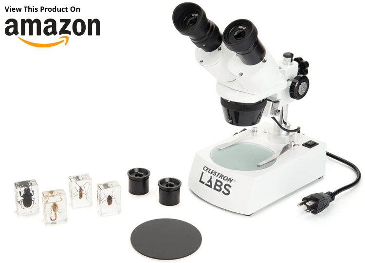 Celestron S10-60 Stereo Microscope