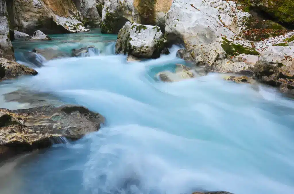 Soca River Freshwater Ecosystem 