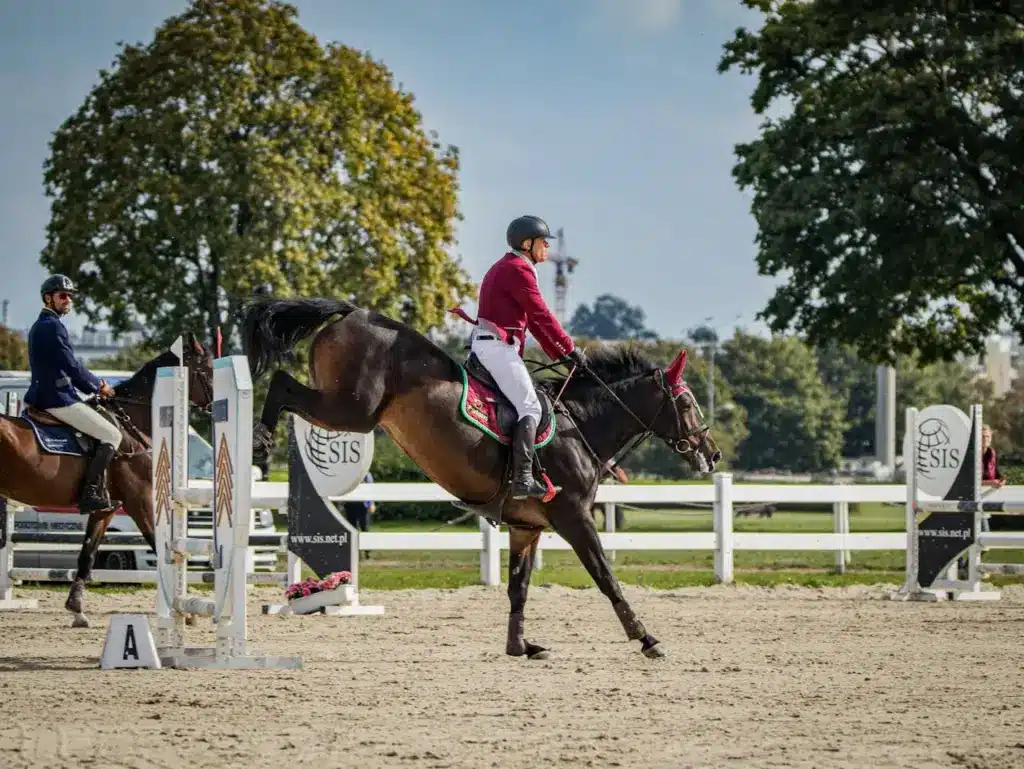 The Fascinating History of Horses Horse Riding